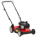 21 125cc Gas Push Lawn Mower